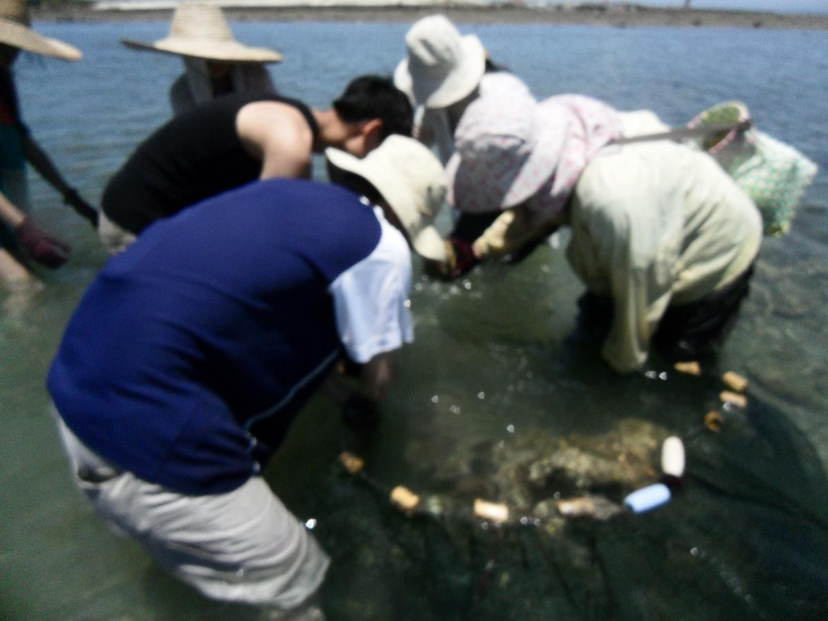 镇海湾休闲民宿 白沙乡 外观 照片
